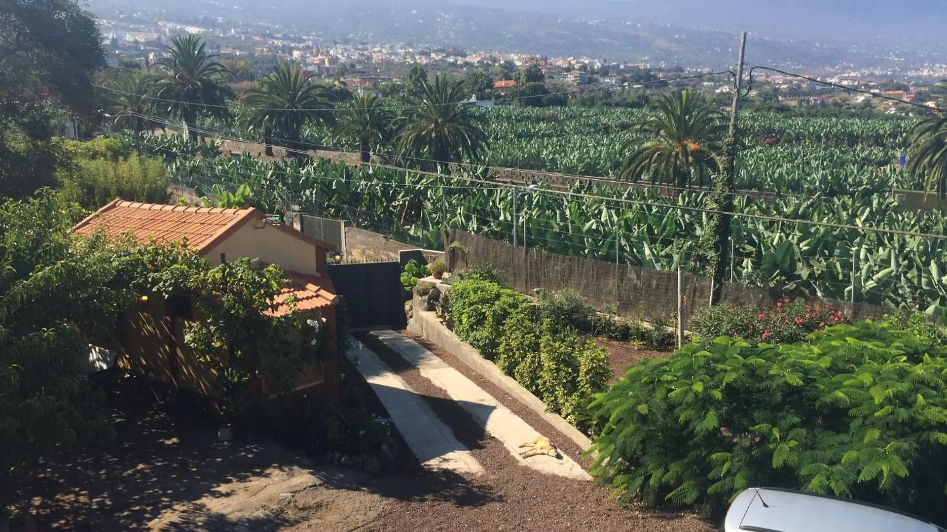 Finca La Plantacion _Agroturismo Villa La Orotava Spain